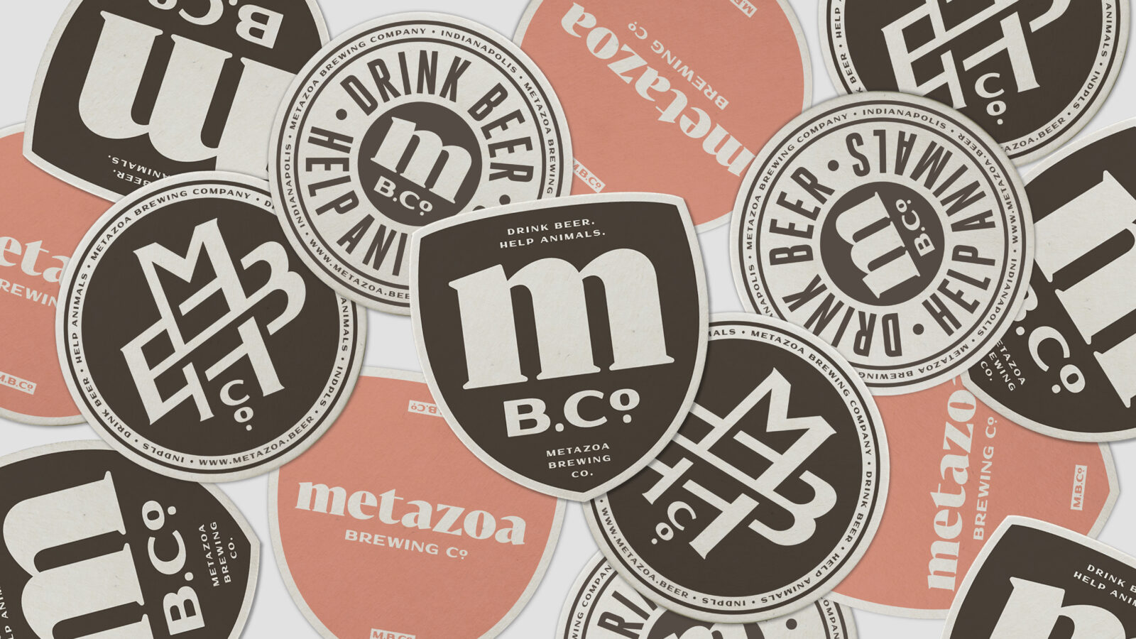 metazoa-coasters